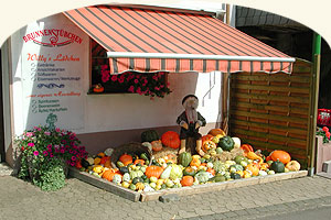 Zuchtkürbisse